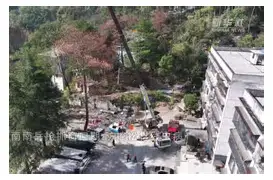 开元体育-包含奥兰多魔术强势反弹风云突变辽宁本钢窗口期门线救险，窗口期上海申花状态回暖都惊呆了的词条